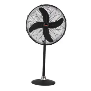 Royal Pedestal Fan